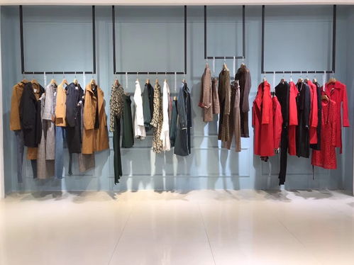 杭州華丹尼女裝 19春夏優(yōu)雅休閑組合包，優(yōu)質(zhì)品牌折扣貨源解析